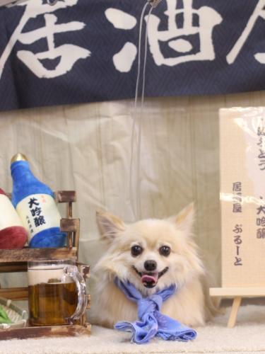 20240607ふうちゃん